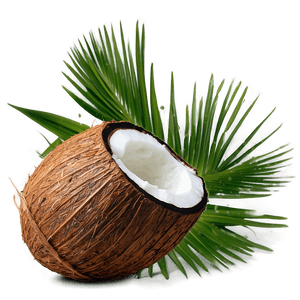 Extra Virgin Coconut Oil PNG 06262024 PNG with transparent background
