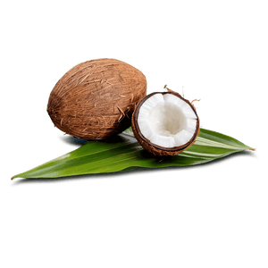 Extra Virgin Coconut Oil PNG khi PNG with transparent background