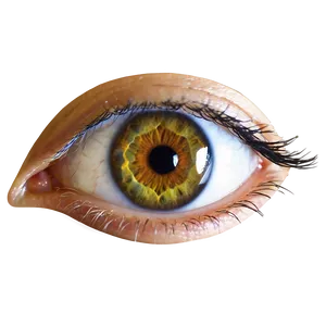 Eye Clipart Transparent Png 99 PNG Image