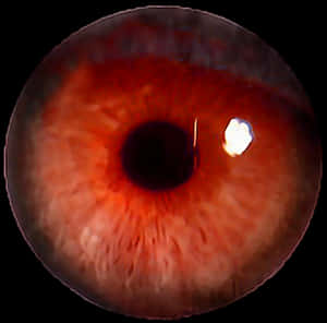 Eye Png Red - Transparent Red Eye Png, Png Download PNG image with transparent background