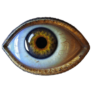Eye Symbol PNG tmk PNG with transparent background
