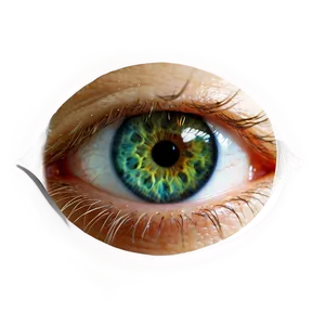 Eye Transparent Background Png 56 PNG Image