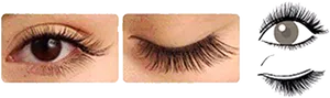 Eyelash Extensions Before After Illustration PNG Image