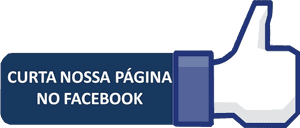Facebook Like Button Brazilian Portuguese PNG image with transparent background
