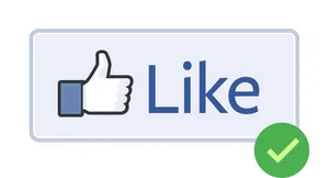 Facebook Like Button Verified PNG Image