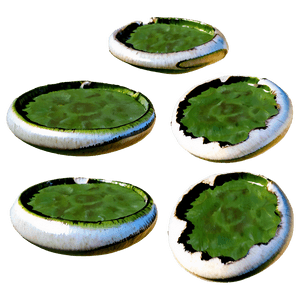 Fairy Ring Fungus PNG 30 PNG