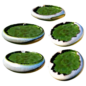 Fairy Ring Fungus Png 30 PNG Image