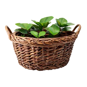 Fake Plant In Basket Png Mxv PNG Image