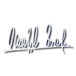 Fake Signature B PNG Image