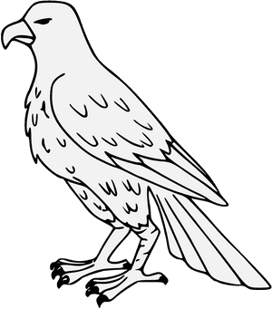 Falcon Png, Transparent Png PNG image with transparent background