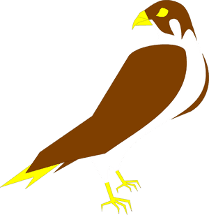 Falcon Svg Clip Arts - Clipart Falcon, HD Png Download PNG image with transparent background
