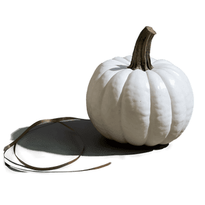 Fall Decor White Pumpkin PNG qil PNG