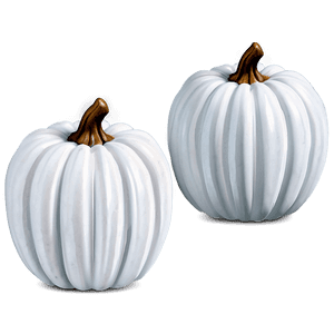 Fall Decor White Pumpkin PNG yhv14 PNG