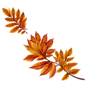 Fall Foliage PNG 32 PNG image with transparent background