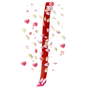 Falling Petals Png 97 PNG Image