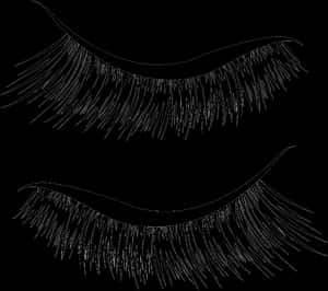 Eyeliner Wing Eyelashes Extension - Transparent Lash Icon Png, Png Download PNG image with transparent background