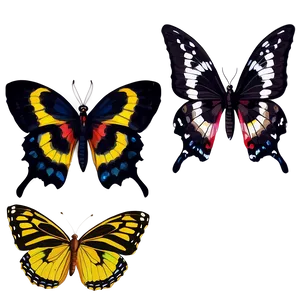 Fancy Black Butterfly Png 57 PNG Image