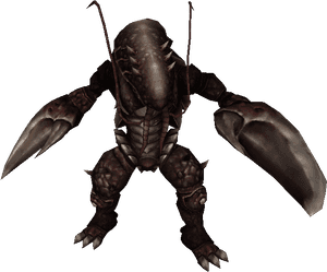 Shrimp Soldier, HD Png Download PNG