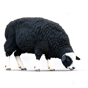 Fantasy Black Sheep Png Epf PNG Image