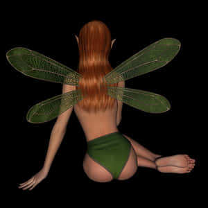 Fantasy_ Fairy_ Back_ View PNG image with transparent background