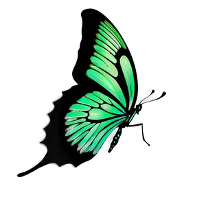 Fantasy Green Butterfly Png 06202024 PNG Image