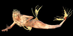 Fantasy Mermaid Illustration PNG image with transparent background