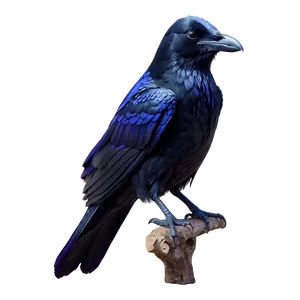 Fantasy Raven With Magic Png 06122024 PNG Image