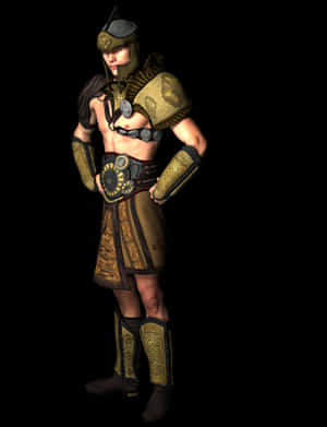 Fantasy Warriorin Armor PNG image with transparent background