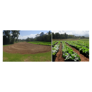 Farm View PNG 6 PNG