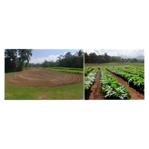 Farm View Png 6 PNG Image