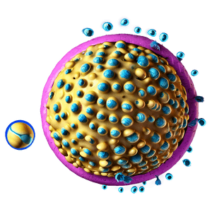 Fat Cells Structure PNG 06122024 PNG with transparent background