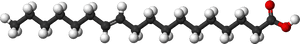 File - Vaccenic Ac - Saturated Fatty Acid 3d, HD Png Download PNG with transparent background