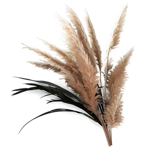 Faux Pampas Grass Png Tay PNG Image