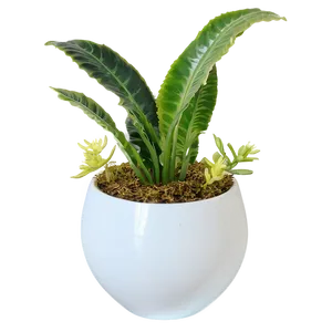 Faux Plant Centerpiece Png 34 PNG Image