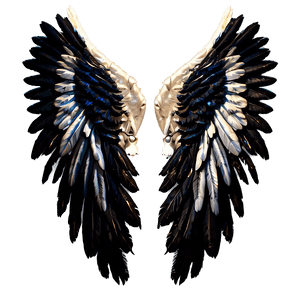 Feathered Angel Wings Picture PNG 05042024 PNG image with transparent background