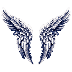 Feathered Angel Wings Picture PNG 66 PNG image with transparent background