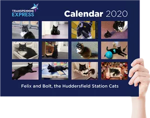 Felixand Bolt2020 Calendar PNG Image