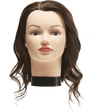 State Board Mannequin Head - Transparent Mannequin Head Png, Png Download PNG image with transparent background