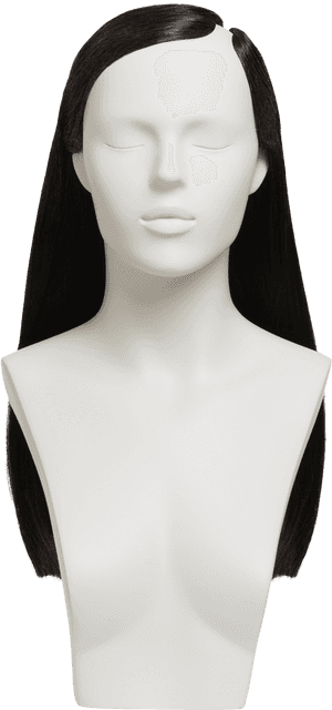 Bust, HD Png Download PNG image with transparent background