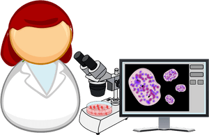 Human - Stem Cell Therapy Cartoon, HD Png Download PNG image with transparent background