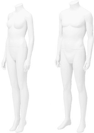 And Bust Form Hire - Mannequin, HD Png Download PNG image with transparent background