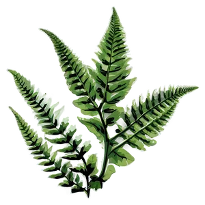 Fern Leaf Botanical Print Png Jps PNG Image