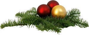 Christmas Branch Png Transparent Image - Christmas Png Transparent Background, Png Download PNG image with transparent background