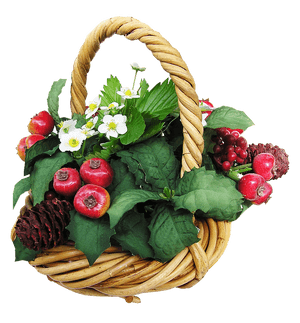Festive Fruitand Flower Basket.png PNG image with transparent background