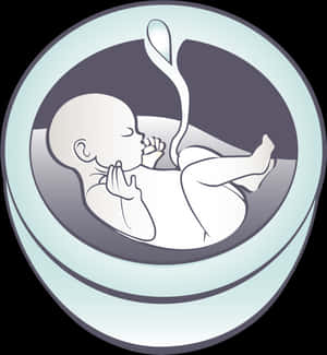 Welcome To The Online Website Of Comprehensive Maternal-fetal - Maternal Fetal Medicine PNG