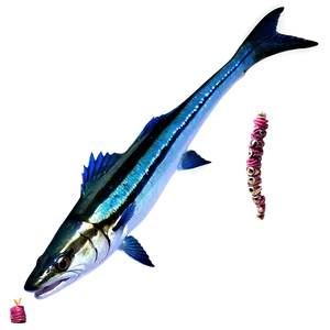 Fierce Barracuda Png Gsr54 PNG Image