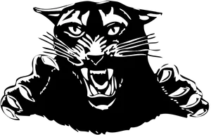 Fierce Black Panther Graphic PNG Image