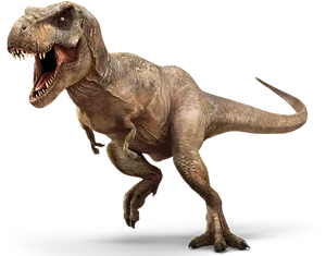 Fierce Tyrannosaurus Rex P N G PNG Image