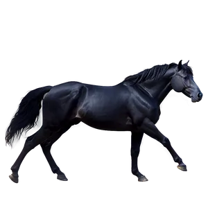 Fiery Black Stallion Spirit Png 06262024 PNG Image