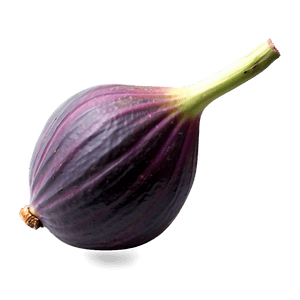 Fig Hand Drawn Sketch PNG 91 PNG